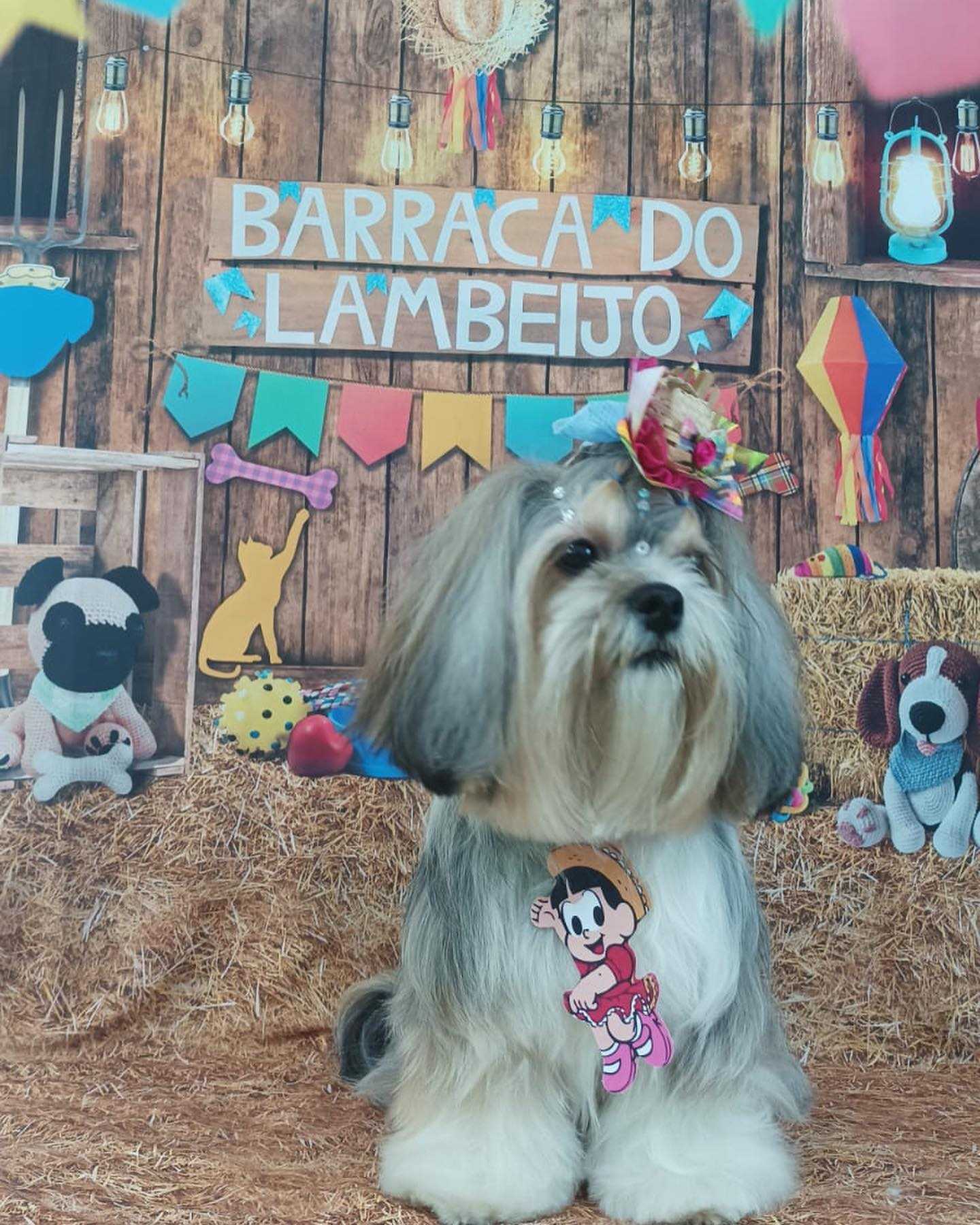 Foto da Galeria